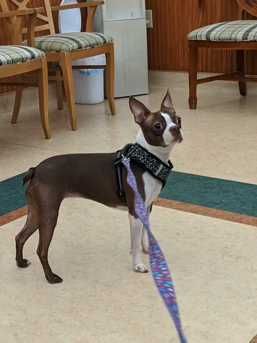 Companion Animal Clinic Picture 5