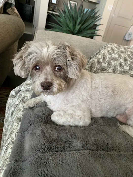 Companion Animal Clinic Picture 8