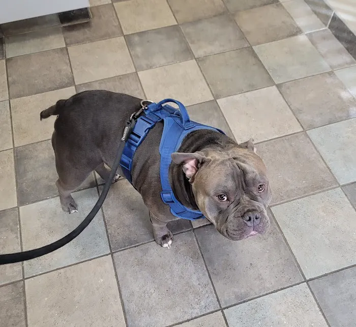 Parkway Veterinary Clinic Picture 2