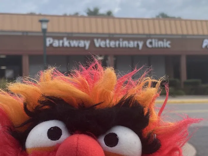 Parkway Veterinary Clinic Picture 1