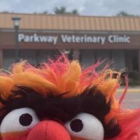 Parkway Veterinary Clinic ico