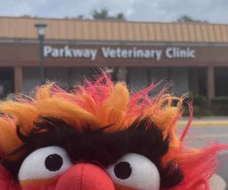 Parkway Veterinary Clinic