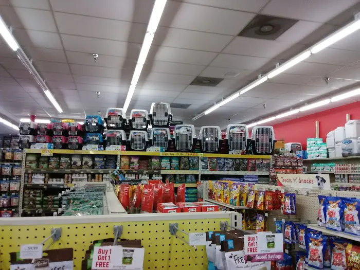 Pet Supermarket Picture 6