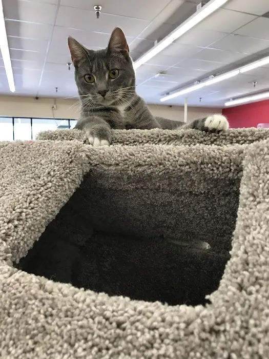 Pet Supermarket Picture 2