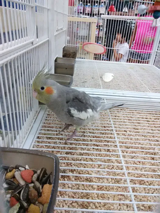 Pet Supermarket Picture 7