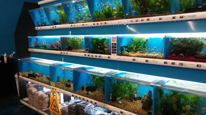 Pet Supermarket Picture 8