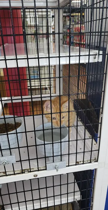 Pet Supermarket Picture 1
