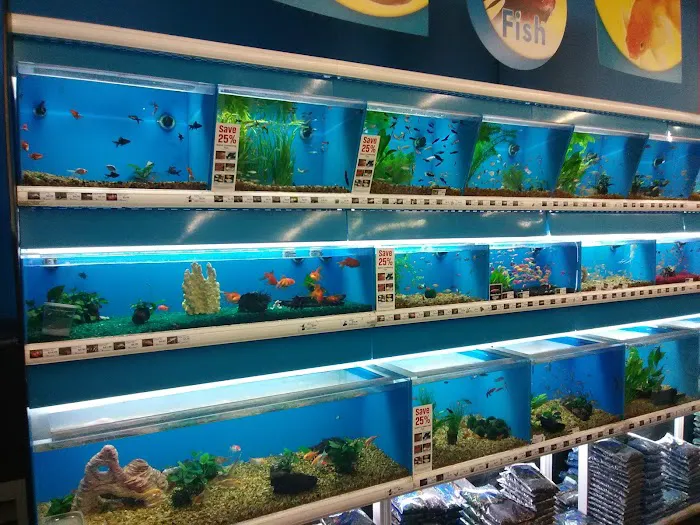 Pet Supermarket Picture 9