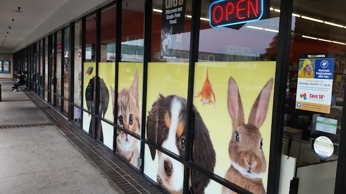 Pet Supermarket Picture 4