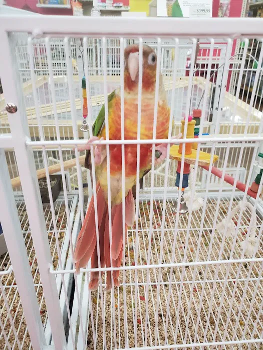 Pet Supermarket Picture 3