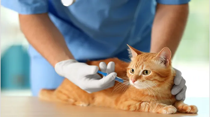 Potomac Valley Veterinary Hospital Picture 3