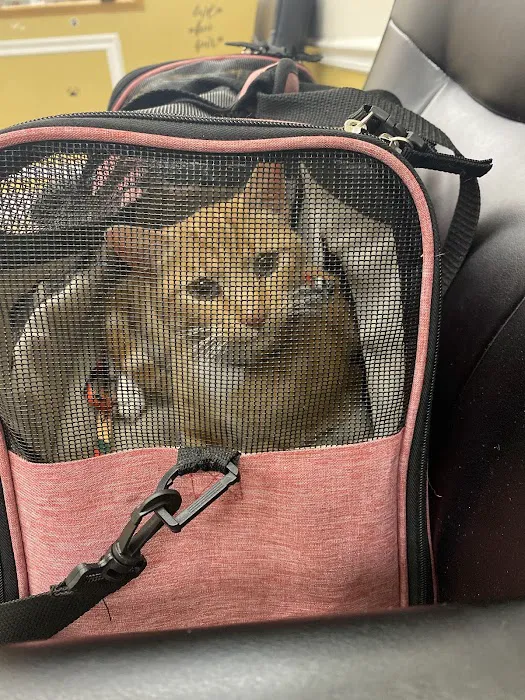 Potomac Valley Veterinary Hospital Picture 8