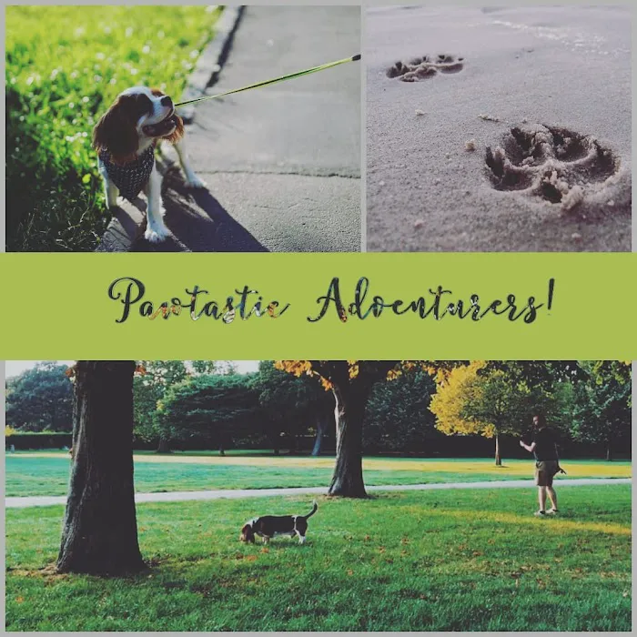 Pawtastic Pet Supply Co. Picture 6