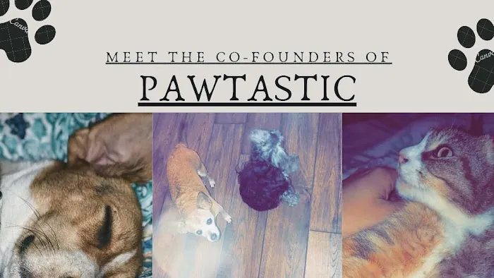 Pawtastic Pet Supply Co. Picture 7