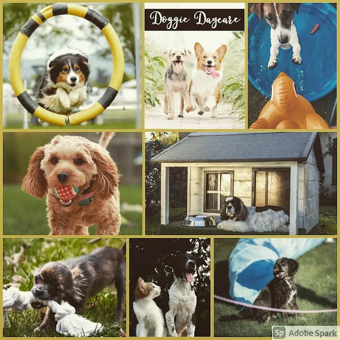 Pawtastic Pet Supply Co. Picture 5