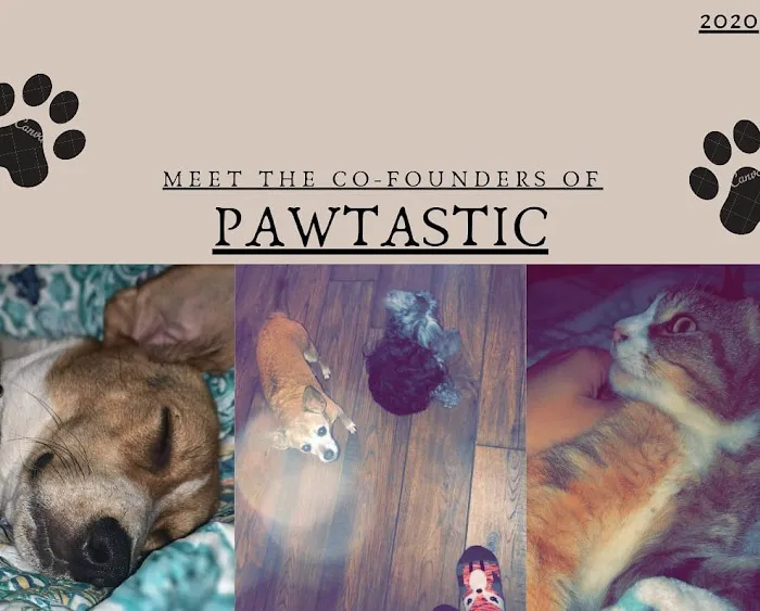 Pawtastic Pet Supply Co. Picture 1