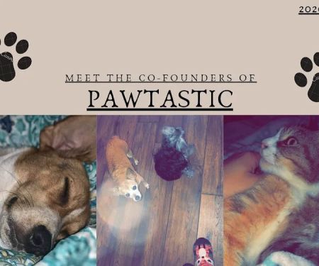 Pawtastic Pet Supply Co.