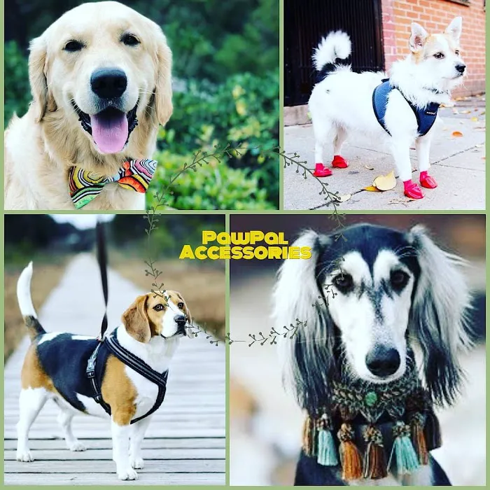Pawtastic Pet Supply Co. Picture 4