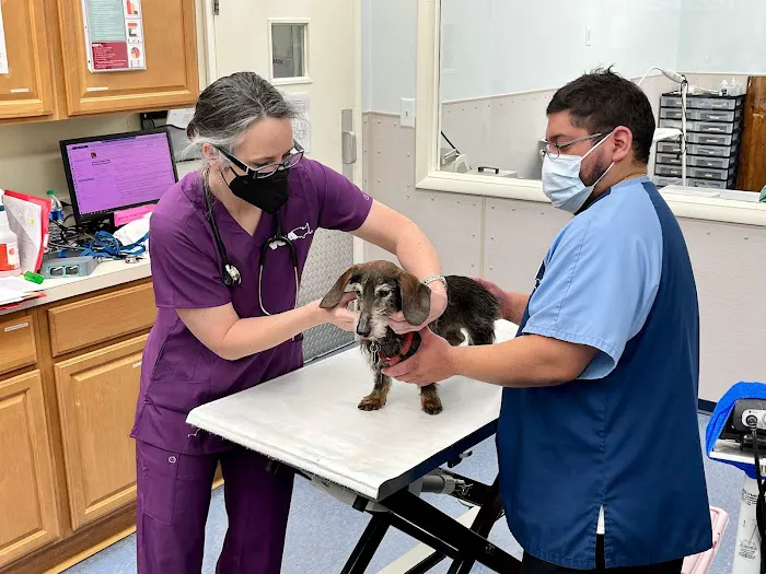 VCA University Veterinary Clinic Picture 10