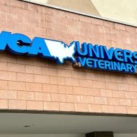 VCA University Veterinary Clinic ico