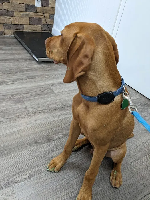 Little River Veterinary Clinic Picture 4