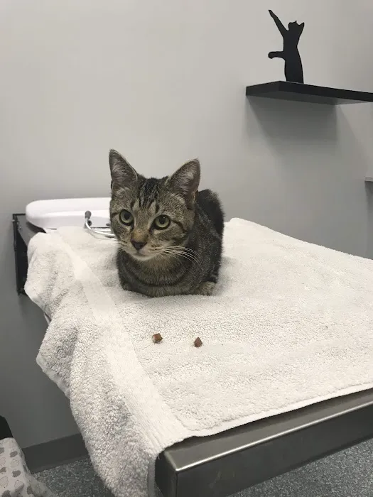 Fairfax Veterinary Hospital Picture 1