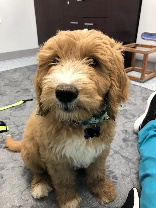 Fairfax Veterinary Hospital Picture 9