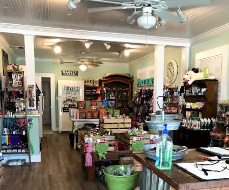 Blue Run Pets Plus
