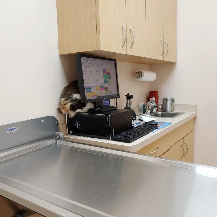 Pet Lovers Animal Hospital Picture 1