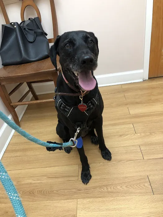 Pet Lovers Animal Hospital Picture 6