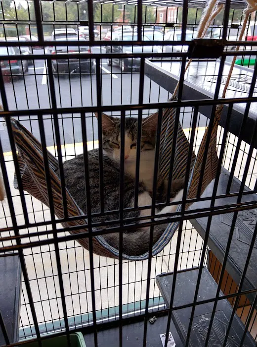 Pet Lovers Animal Hospital Picture 4