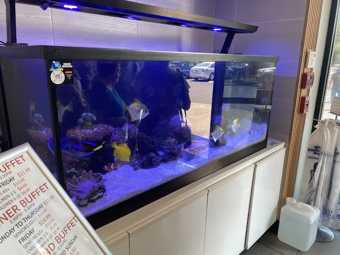 Clean Sharks Aquarium Maintenance Picture 4