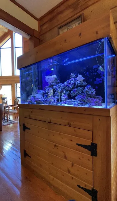 Clean Sharks Aquarium Maintenance Picture 6