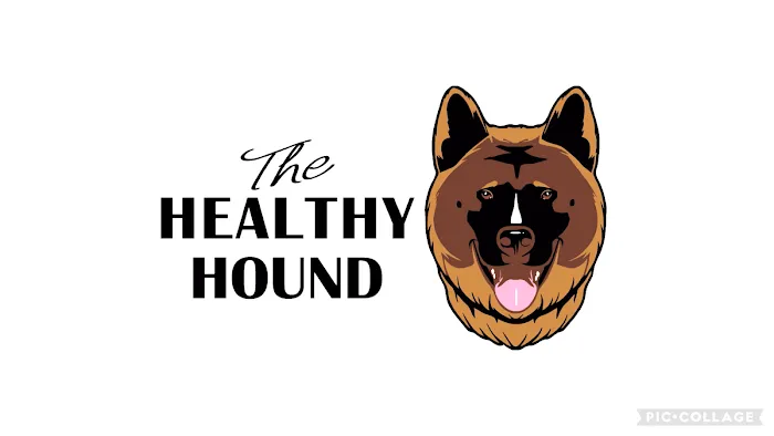 The Healthy Hound Picture 8