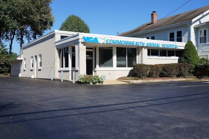 VCA Commonwealth Animal Hospital Picture 4
