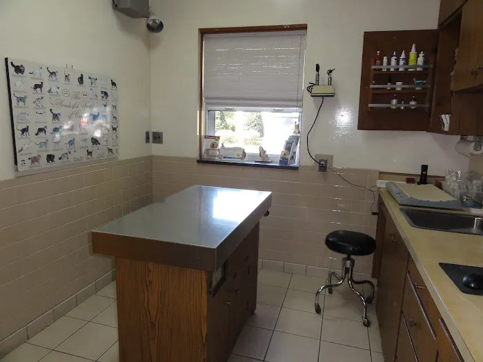 VCA Commonwealth Animal Hospital Picture 9