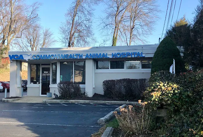 VCA Commonwealth Animal Hospital Picture 10
