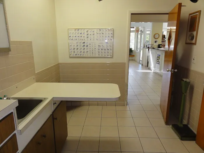 VCA Commonwealth Animal Hospital Picture 7