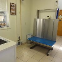 VCA Commonwealth Animal Hospital ico