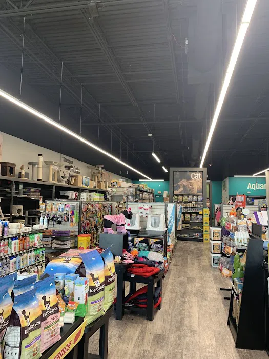 Pet Supermarket Picture 1