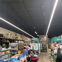 Pet Supermarket ico