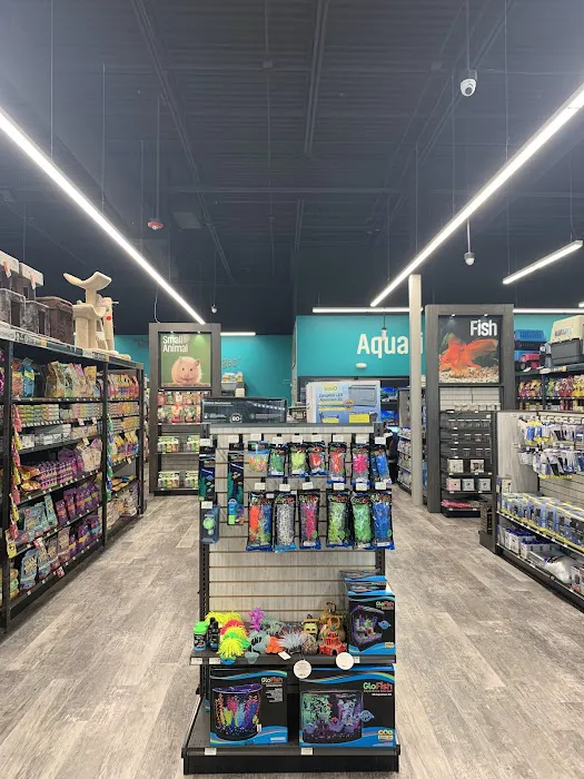 Pet Supermarket Picture 2