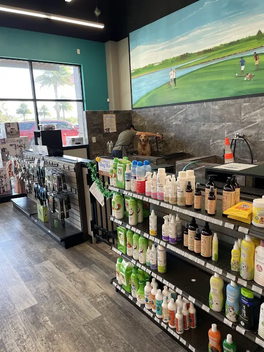 Pet Supermarket Picture 7