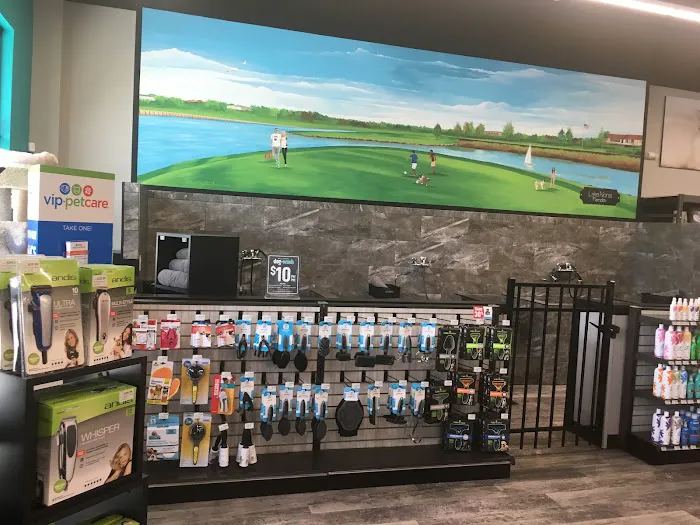 Pet Supermarket Picture 4