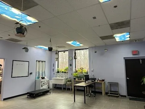 Independent Hill Veterinary Clinic Picture 4