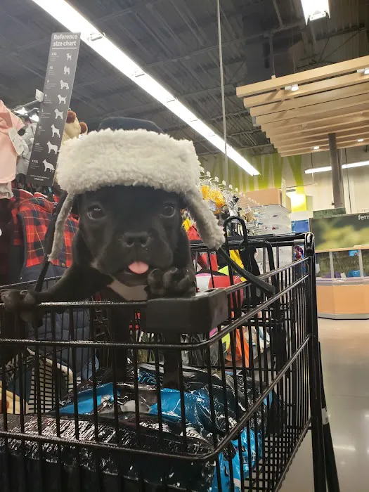 Petco Picture 1