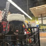 Petco