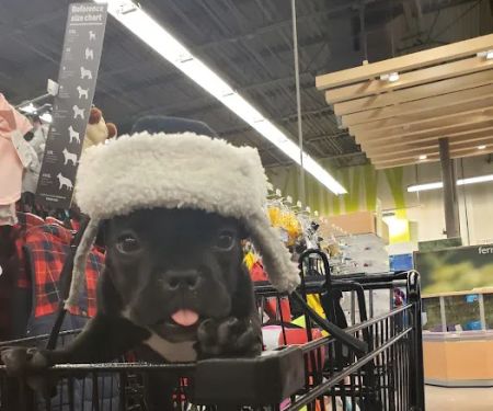 Petco
