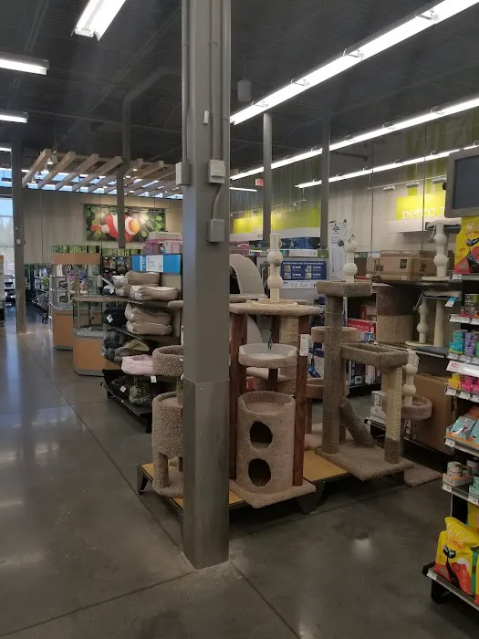 Petco Picture 3