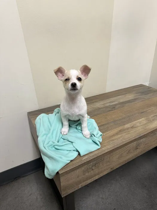 Petco Picture 7